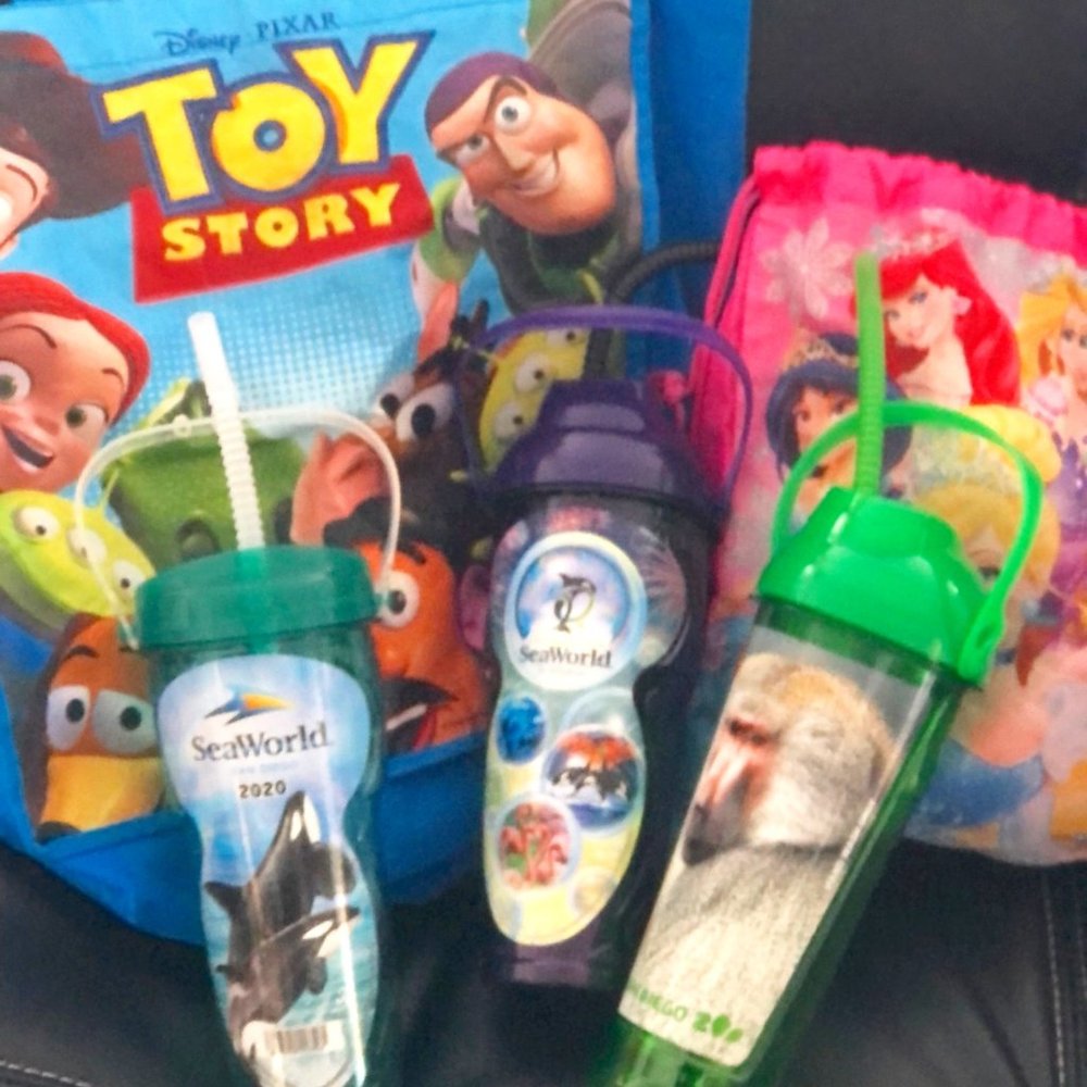 Disney Toy Story and Pink Princess Bags with San Diego Zoo and SeaWorld Tumblers